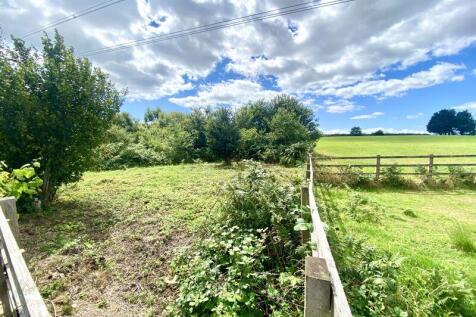 View from Garden
