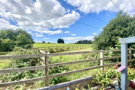View from Garden