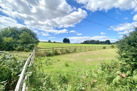 View from Garden