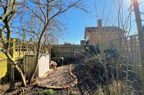 garden 3.jpg