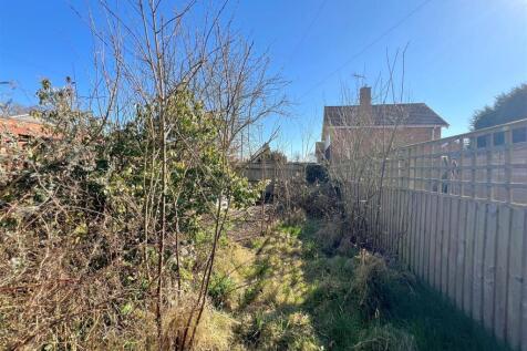 garden 1.jpg