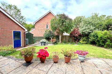 garden 3.jpg
