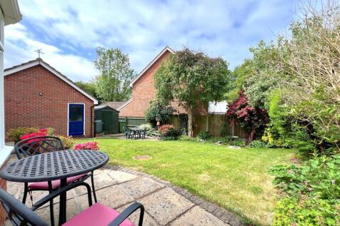 garden 4.jpg