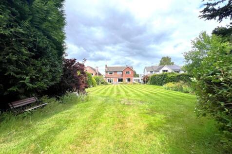 bottom of garden.jpg