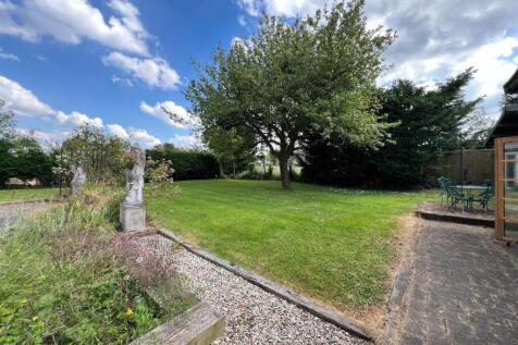 rear garden.jpg