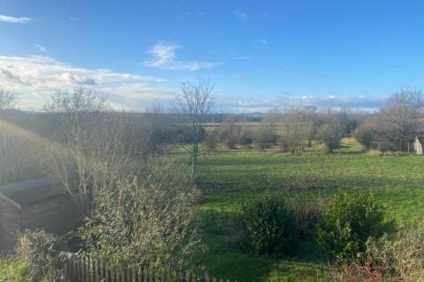 View From Window