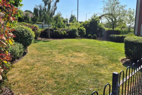 Garden.jpg