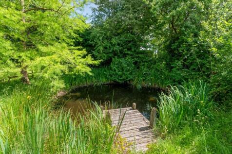 Pond