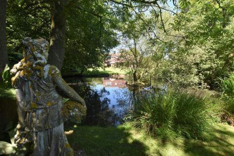 Pond View.jpg