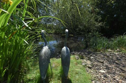 Pond View - Additional Image.jpg