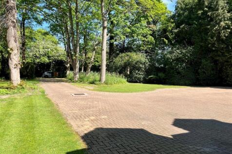 Driveway.jpg