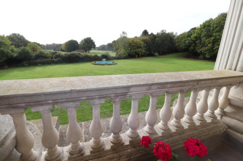 Terrace View