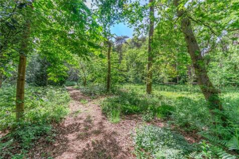Woodland