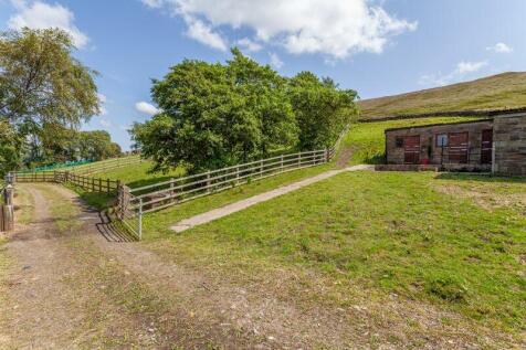 Stables &amp; Paddocks