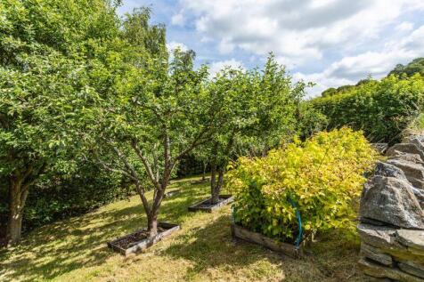 Orchard