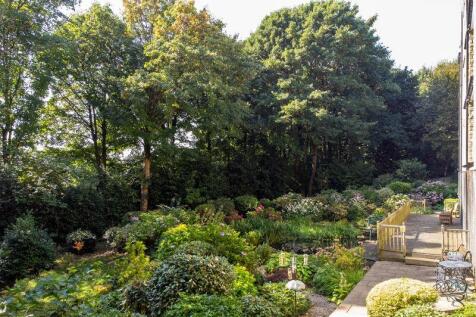 Garden (Summer)