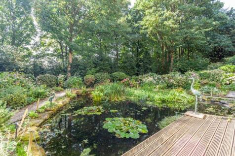 Garden (Summer)