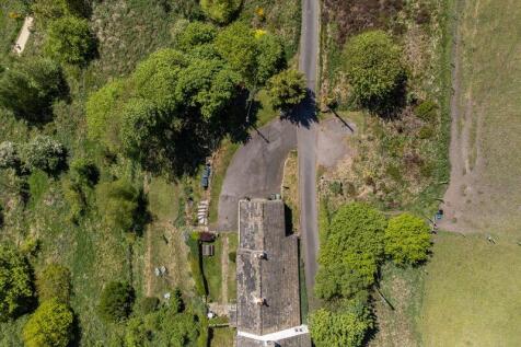 Bird&#39;s Eye View