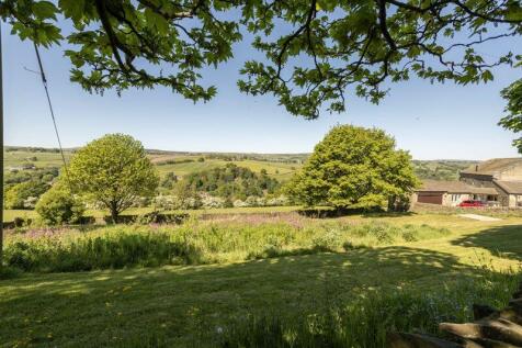 Meadow