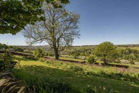 Meadow