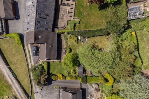 Bird&#39;s Eye View