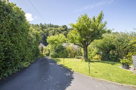 Lower Garden &amp; Drive