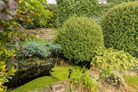Garden Pond