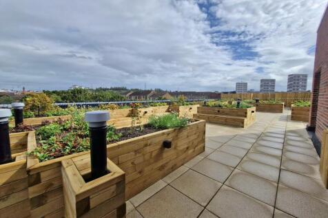 Roof Terrace