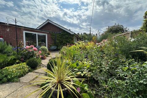 Garden 3