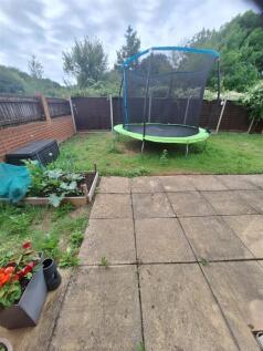 Garden.jpg