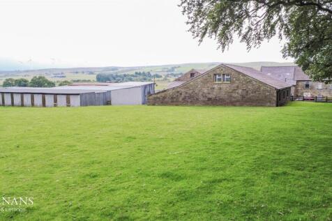 Property Image 37