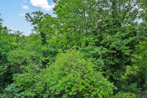 Green Views
