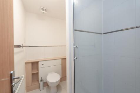 Picture 11