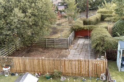 Picture 12