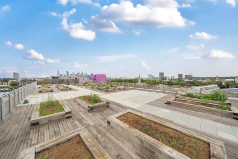 Communal Roof Garden.jpg