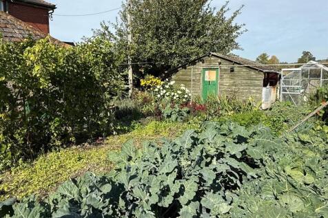 WhatsApp Image 2025-09-29 at 23.28.40_f3c5ddd0.jpg