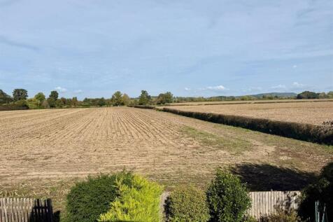 WhatsApp Image 2025-09-29 at 23.28.38_a3d04d16.jpg