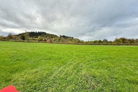 WhatsApp Image 2025-10-25 at 14.12.37_c316a458.jpg