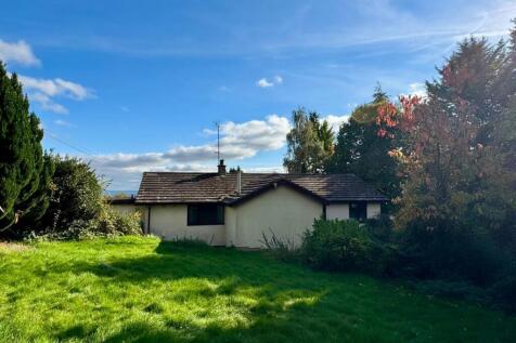 WhatsApp Image 2025-10-10 at 15.55.46_2e238645.jpg