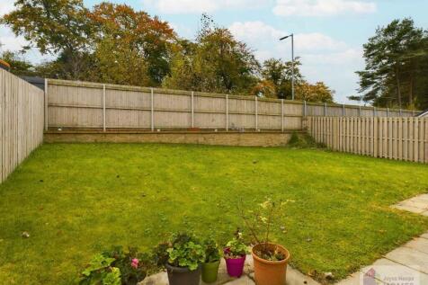 Rear Gardens