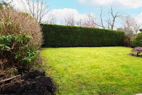Rear Gardens