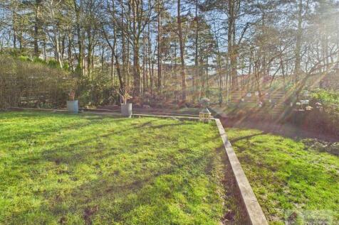Rear Gardens