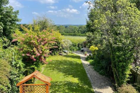 new garden photo