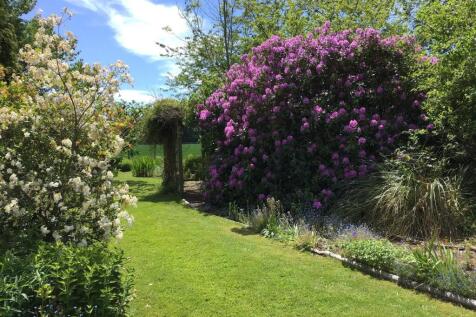 Garden in Summer