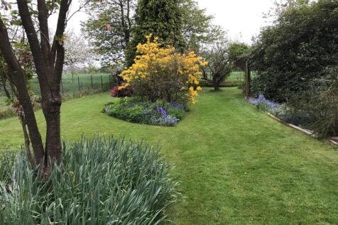 Garden in Summer
