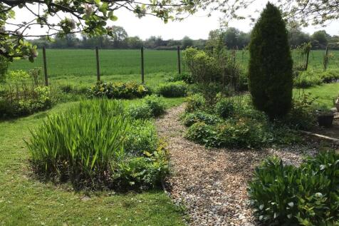 48 Brookmead new garden 2.jpg