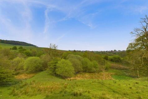 CAM03145G0-PR0092-STILL044.jpg