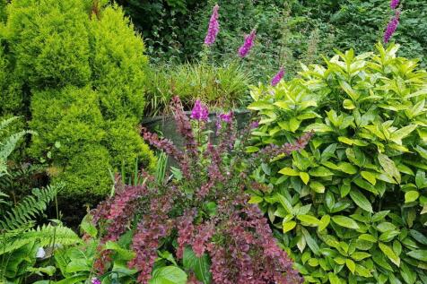 Gardan new 3 rotated.jpg