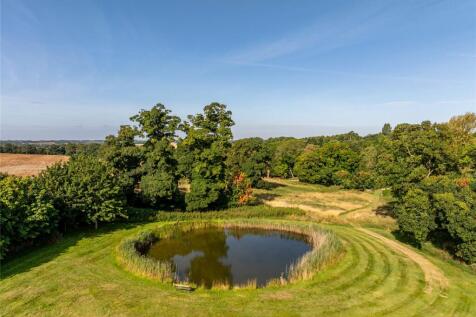 Pond