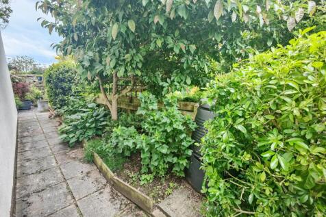 Side garden